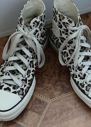 Леопардовые высокие кеды converse 38р.