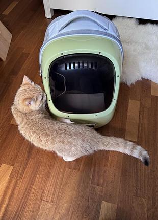 Petkit рюкзак-переноска breezy2 smart cat carrier green для котів та собак вагою до 8 кг