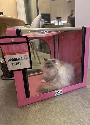 Виставкова палатка для тварин