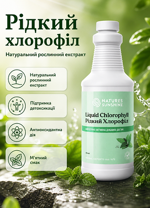 Хлорофилл жидкий нсп 476 мл | chlorophyll liquid nsp 476 ml