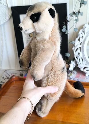 Реалістична м'яка іграшка сурикат keel toys simply soft collection