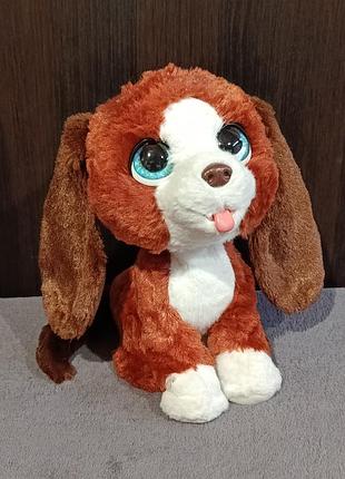 Собака інтерактивна, щасливий рудик, fur real, hasbro