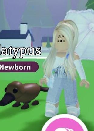 Утконос качкодзьоб роблокс адопт мі roblox adopt me platypus дуже рідкісні пети пет рідкісний старий раритет петы адопт ми