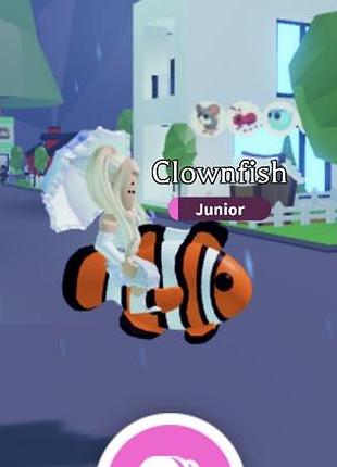 Рибка немо риба клоун роблокс адопт мі roblox adopt me clownfish пети петы адопт ми рыбка немо рыба клоун
