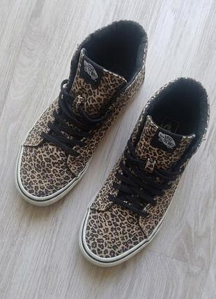 Легендарні леопардові кеди  vans off the wall