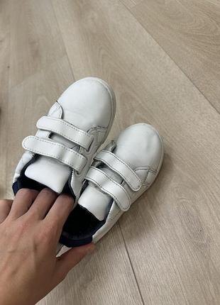 Кеды смесей