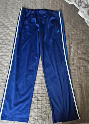 Спортивні штани чоловічі adidas сині