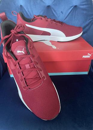 Чоловічі кросівки puma flyer runner. оригінал.