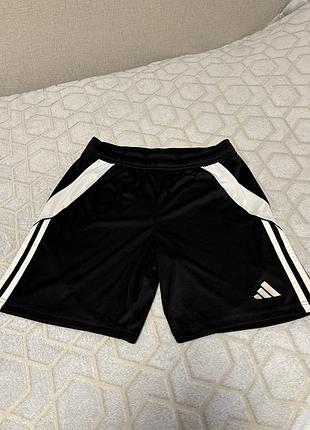 Шорти adidas хлопчачі