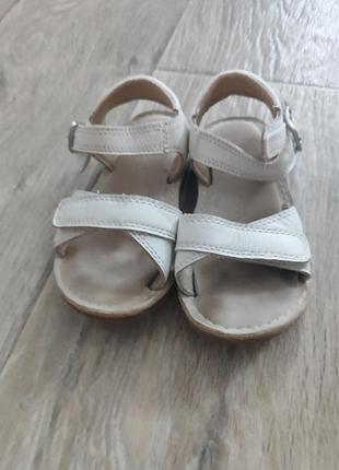 Кеди clarks, next 24-24,5 7
