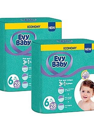 Evy baby 6