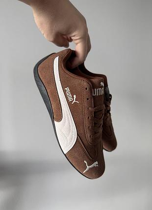 Speedcat brown
