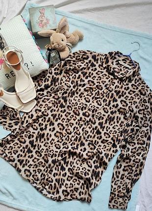 Сорочка леопардова шовкова сатинова р 34 36 38 xs s m zara з рукавом тоненька на гудзиках