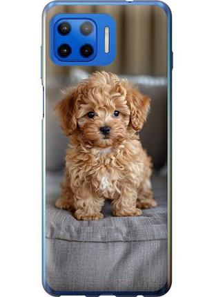 Чехол на motorola moto g plus mini-maltipoo из силикона fch_0169866