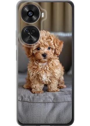Чехол на huawei nova xiaomi 12 se / nova 11 se mini-maltipoo из силикона fch_0169872