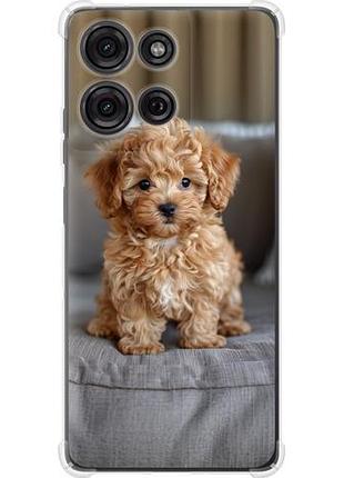 Чехол на motorola moto g75 5g mini-maltipoo из силикона fch_0169881