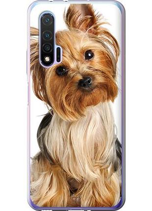 Чехол на huawei nova 6 йоркширский терьер с хвостиком из силикона fch_0169811