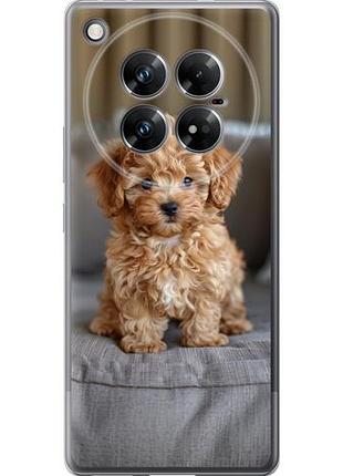Чехол на infinix zero 40 5g mini-maltipoo из силикона fch_0169876