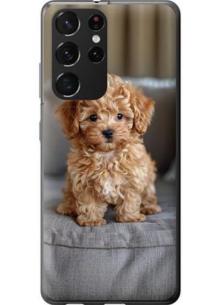 Чехол на samsung galaxy s21 ultra (5g) mini-maltipoo из силикона fch_0169867