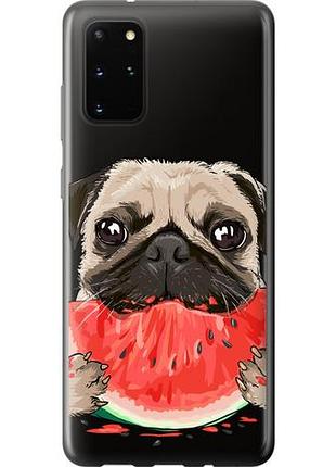 Чехол на samsung galaxy s20 plus мопс и арбуз из пластика fch_0011693