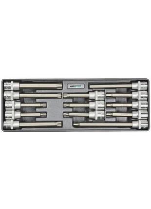 Набор головок со вставками whirlpower hex, torx, ribe 13 единиц 1/2"