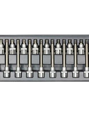 Набор головок со вставкой whirlpower an-sk55 torx 1/2" т20-т60 18 единиц