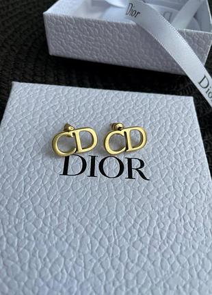 Сережки гвоздик  cd