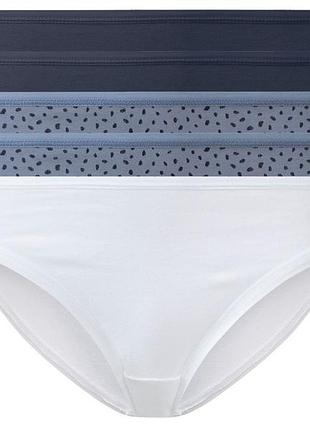 Трусики-слип набор 5 шт. хлопковые для женщины esmara lycra® 499680-1 xs комбинированный