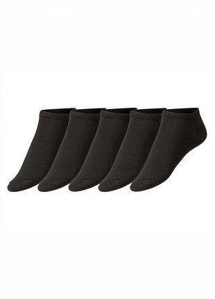Шкарпетки профилактические набір 5 пар. для жінки esmara lycra® 371226_450228 35-38 чорний