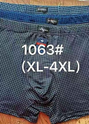 Боксери чол. 1063 стрейч бамбук 2 шт.2xl тм vasall