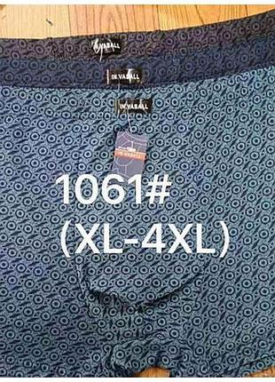 Боксери чол. 1061 стрейч бамбук 2 шт.3xl тм vasall