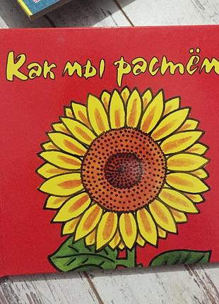 Детская книга с раскладными страницами как мы растем