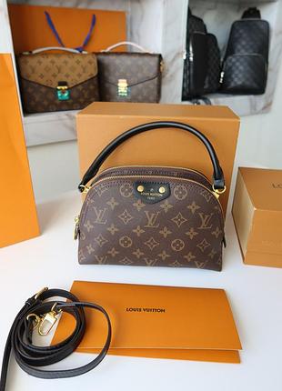 Жіноча сумка lv  2 відділи alma
