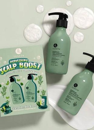Набір шампунь та кондиціонер rosemary mint healthy scalp kit, 2 шт по 250 мл