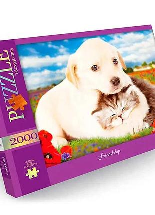 Пазл "friendship" danko toys c2000-01-09, 2000 ел.