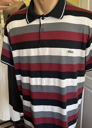 Поло lacoste в смужку (чорно-біло-бордове), розмір xl