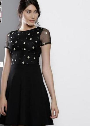 Плаття, сукня dorothy perkins шифонова в ромашки.