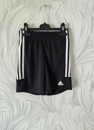 Классные спортивные шорты