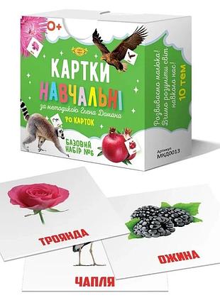 Картки навчальні глена домана №6 майстер mkd0013 укр