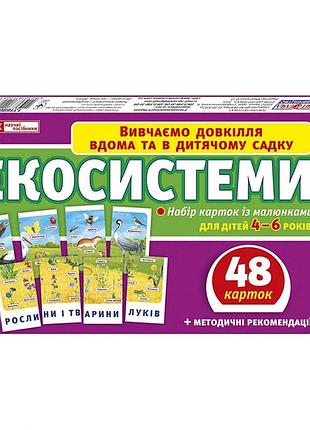 Набір тематичних карток "екосистеми" 13169003 для дітей 4-6 років