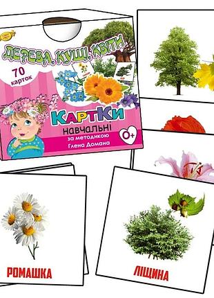 Навчальні картки глена домана. "дерева, кущі, квіти" mkd0017 укр.