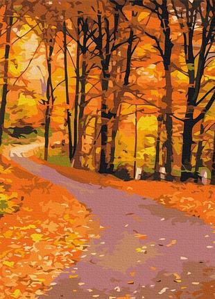 Картина за номерами - осінній парк (48x60 см l)