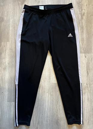 Спортивні штани  adidas squadra 21