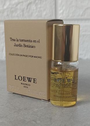 Loewe tras la tormenta en el jardin botanico мініатюра унісекс (оригінал)