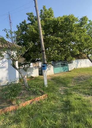 Продається будинок 🏠 , с.новопетрівське (новоодеський район) 2