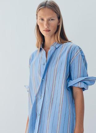 Limited edition сорочка студійна колекція zara