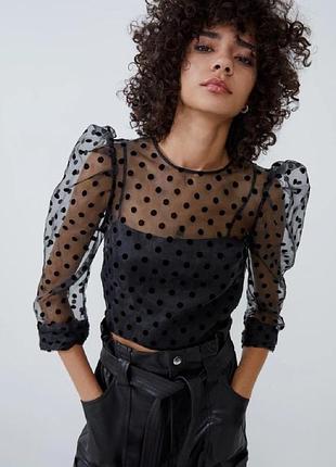 Блуза zara с вшитым топом xs