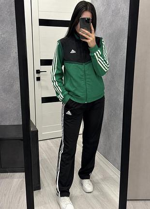 Жіночий спортивний костюм