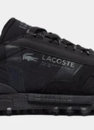 Lacoste кросівки 2