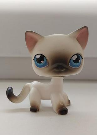 Lps littlest pet shop іграшка кішка стоячка сіамська кіт літлест пет шоп петшоп лпс pets shop петс шоп петсшоп стоячки фігурки іграшки фігурка петшопи